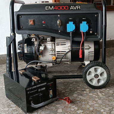 Planta eléctrica de gasolina 4000 AVR - 2/8