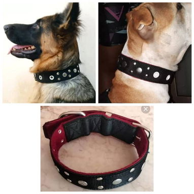Collares para perros grandes - Img 113977710