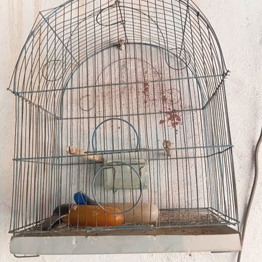 Jaulas para pajaros - 2/2