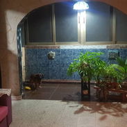 ✨️Venta de apartamento en perfectas condiciones✨️ - Img 54837270