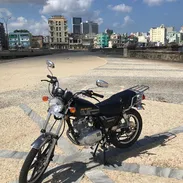 Suzuki - Img 54623341