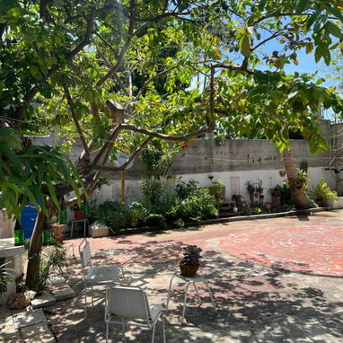 VENTA CASA CAPITALISTA GRANDE EN SANTA AMALIA - ARROYO NARANJO - Img 120113310