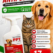 Artículo antipulgas y garrapata spray PPT - Img 51144892