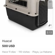Huaca grande para transportar perros - Img 58283631