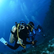 Buceo en La Habana (Playa) con NMD_nomada - Img 54596464