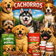 Variedades de cachorros de raza 😍 - Img 54866271