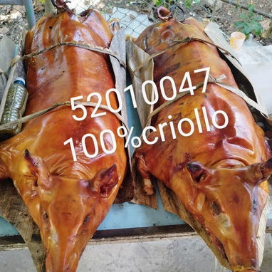 Comidas criollas puerco asado - 4/4