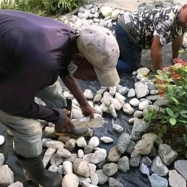 jardinería y Servicio de limpieza de exteriores - Img 121134697