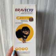 Bravecto - Img 50644498