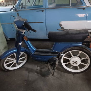 VESPINO AZUL Y BLANCO - 2/3