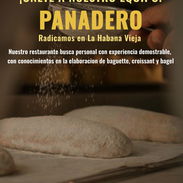 Buscamos panadero - Img 57349713