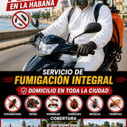 Servicio de Fumigación contra Chinches de cama en La Habana - Img 57149361