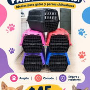 Guacal para Perros y Gatos - Img 58160891