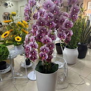Búcaro Blanco con Orquídeas Grandes - Img 55275801