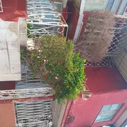 Vendo rebajada!. Casa en villanueva con algunas cosas... detalles en la desceipcion. - Img 58193467