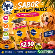 Comida para Perro - Img 57553748