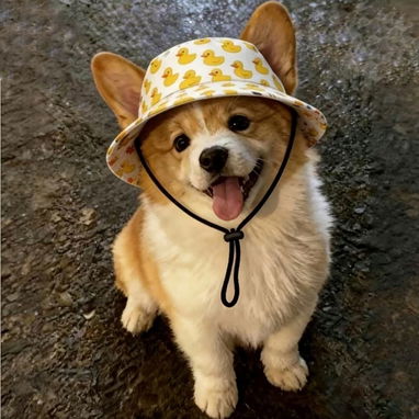 Sombrero de Verano para Mascotas / Tallas S y L - 5/5