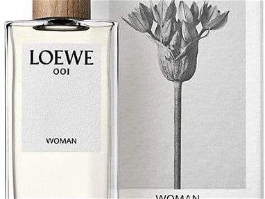 Perfumes ✅Originales✅ Dior - Loewe - Img main-image