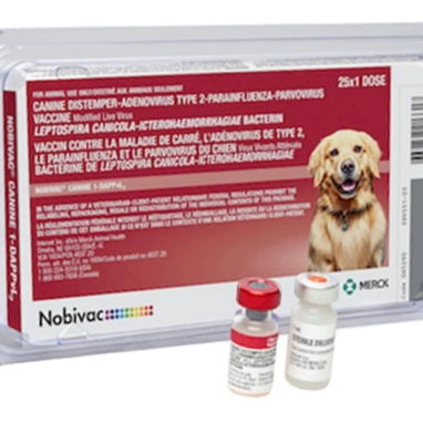 Tienda de mascotas online Vanipets 🫀🐾 - Img 125467514