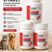 Vitavet (Omega 3, 6 y Multivitaminas y minerales) - Img 55568306