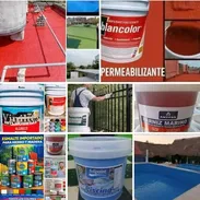 Pinturas de aceite, esmalte, vinil, impermeable, barniz - Img 55990088