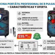 BOCINA 8'' CON MICRÓFONO Y MANDO NDR-P55 Y NDR-P66, ENTREGA DE FACTURA, VARIEDAD DE BOCINAS Y AUDÍFONOS DISPONIBLES - Img 55160971
