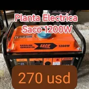 Planta - Img 54969594