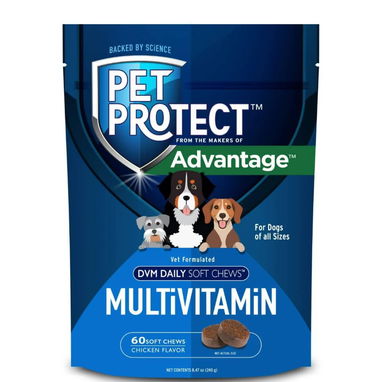 Vitaminas para perros - Img 114643273