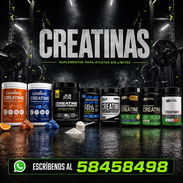 CREATINAS de alta GAMA - Img 56026952