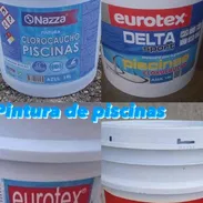 PINTURA PISCINA - Img 55149438
