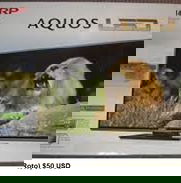 TV Sharp 39" ROTO - Img 50135563