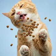 Excelente comida para gatos *Bolsa sellada 1kg ➡️Mensajería - Img 57021099