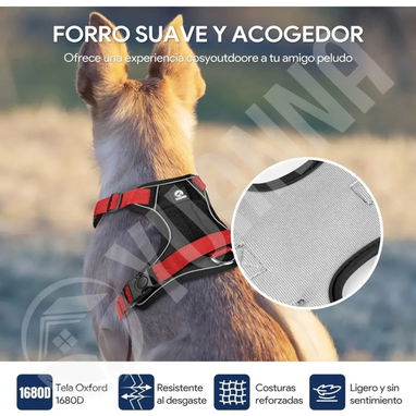Pecheras de Perro con correa incluida - Img 122233856