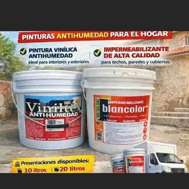Pintura pinturas - Img 120915918