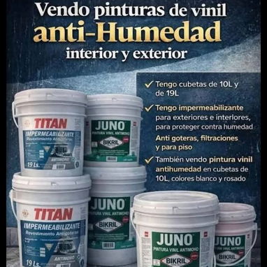 Pintura pintura - Img 125163701