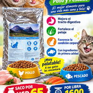 Pienso para gato - Img 58254940
