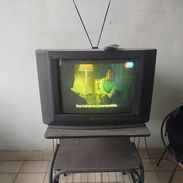 TV panda - Img 57468097