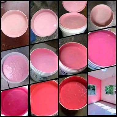 Pintura Vinil acrílica para interior y exterior ,,antihumedad - 3/9