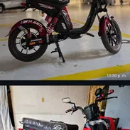 BICIMOTOS MOSHOZUKI GRILLO - Img 55723465