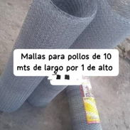 Mallas para pollo de 10 m de largo y 1 de alto - Img 55581247