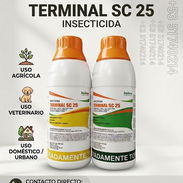 Fipronil Terminal insecticidas - Img 57883445