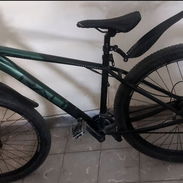Bicicleta Rali 29 - Img 58187675