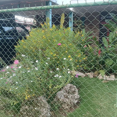 Venta de casa en Reparto Víbora Park - 3/6