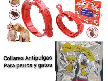 Collar antipulgas para perros y gatos 🐶🐱 - Img main-image-45555683