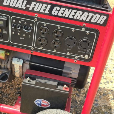 Generador dual fuel de 10000w - 2/3