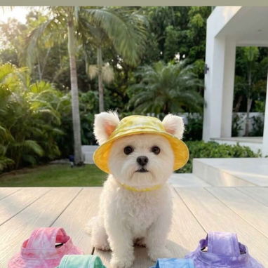 Vendo artículos para mascota - 2/10