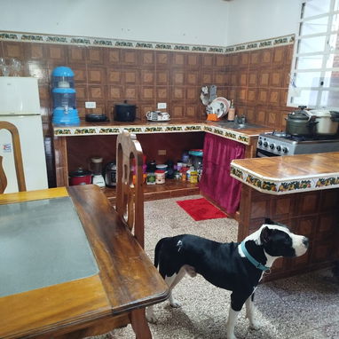 🏠 ¡ESTUPENDA OPORTUNIDAD EN LA VÍBORA! 💨 GAS MANUFACTURADO DE LA CALLE – ¡MUY BUSCADO! 💨 - 4/10