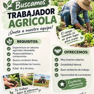 BUSCAMOS TRABAJADOR AGRÍCOLA - Img 57801784
