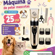 Máquina de pelar mascostas - Img 56440836