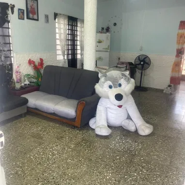 Venta de casa en San Francisco de Paula. #161 - Img 121767381
